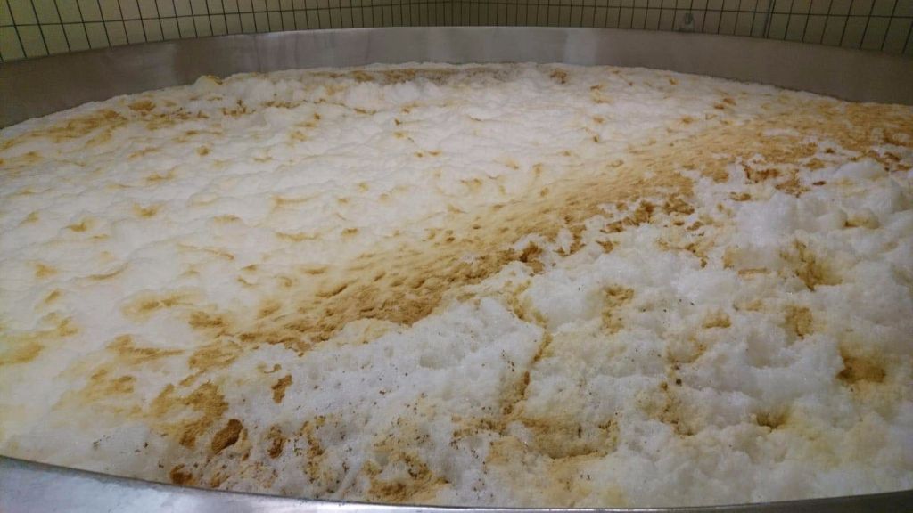 發(fā)酵啤酒可以不使用啤酒酵母嗎？