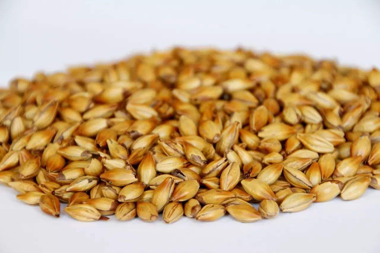 做精釀啤酒，如何選擇合適的粉碎機(jī)？