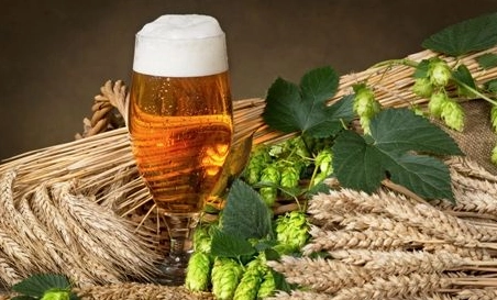 精釀啤酒中，如何選擇恰當(dāng)?shù)慕湻椒ǎ?> </a>
    </dt> 
    <dd> 
     <h4><a href=